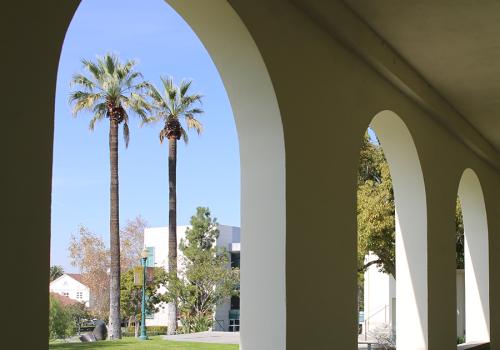 Arches and palm trees