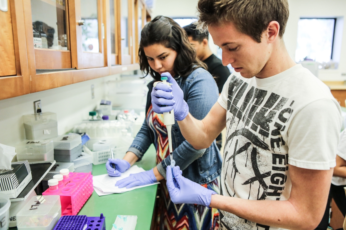 Science Students, Student Engagement