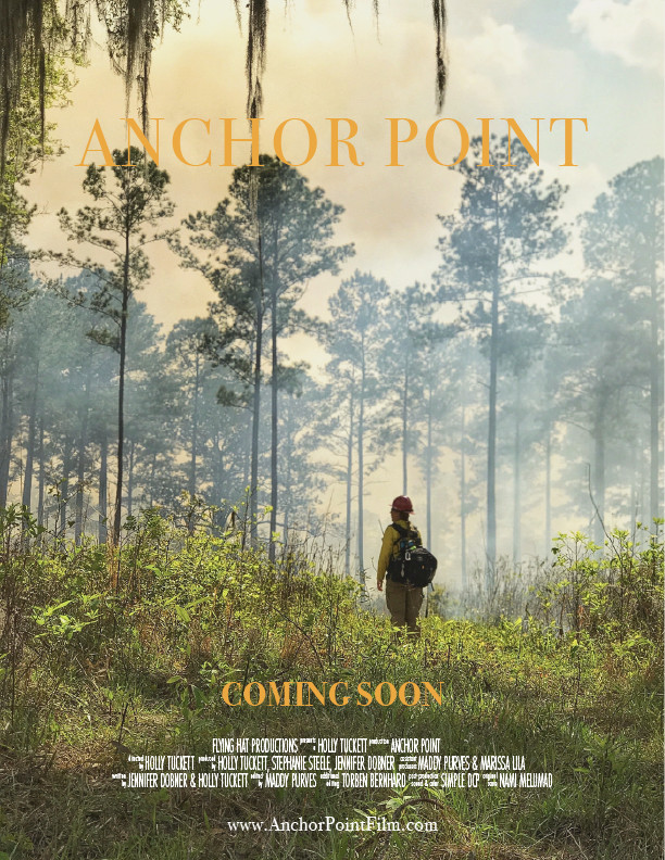 Anchor Point movie poster
