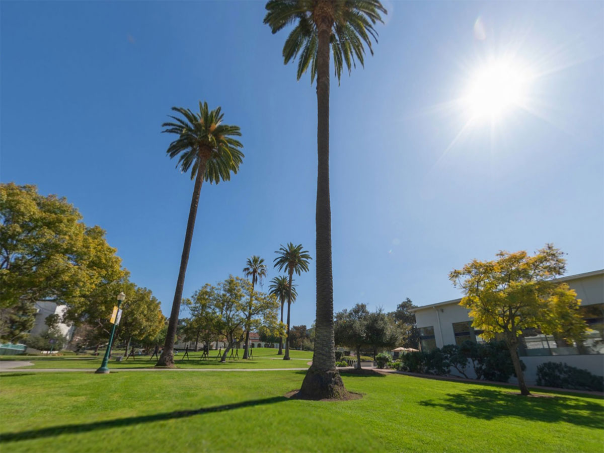Lower Campus