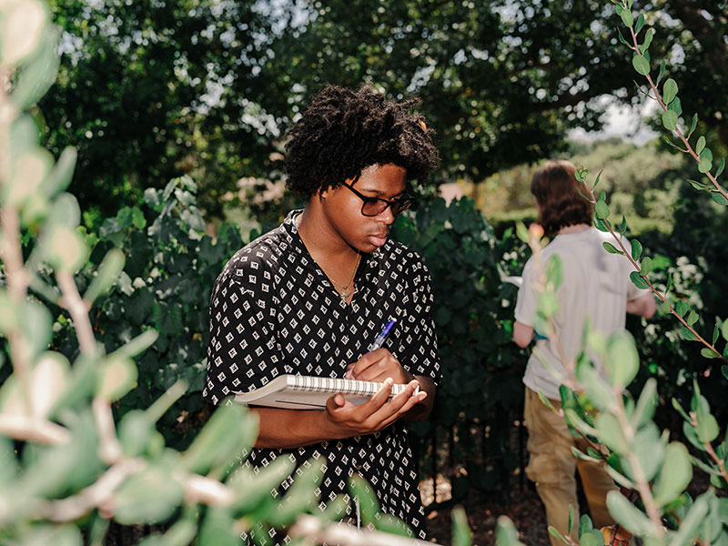 Student in coffee orchard