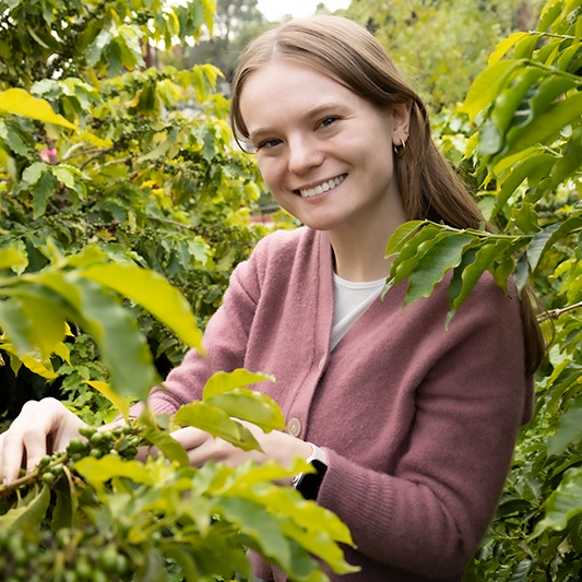 Andrea in coffee orchard