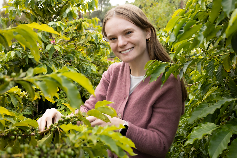 Student in orchard