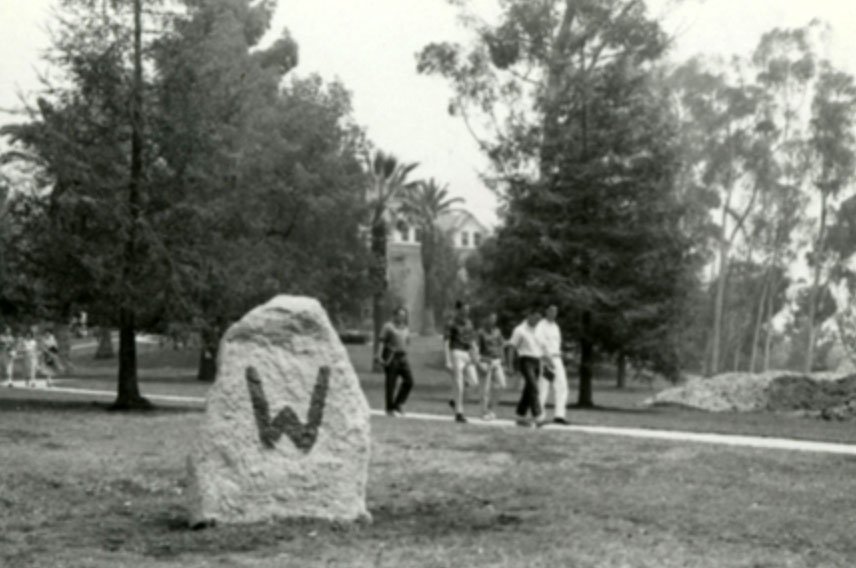 The Rock