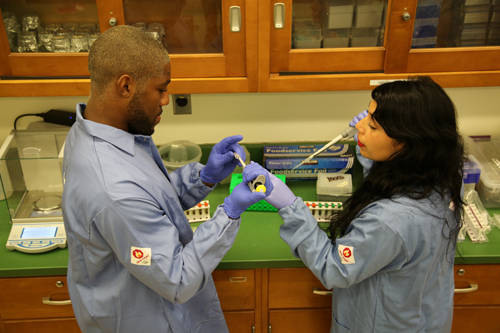 Professor Sylvia Vetrone in the lab. 