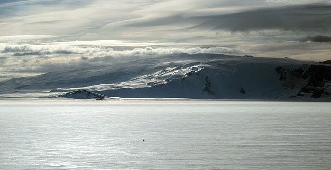 Antarctica