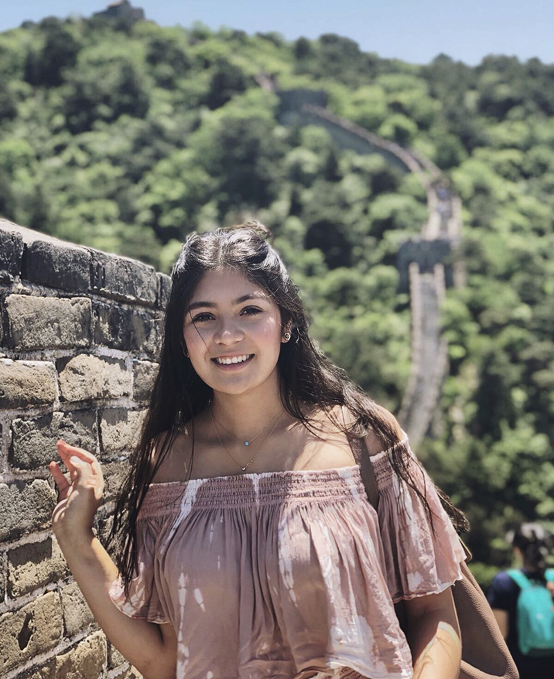 Analis on the Great Wall of China