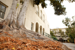 Wardman Gym