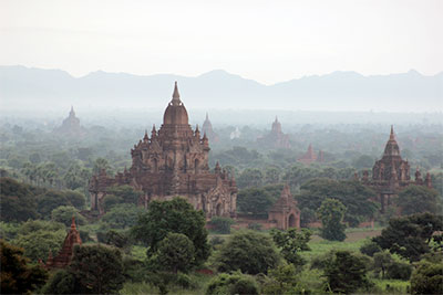 Temples and a forest in Bagan.