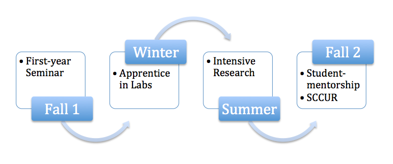 SAS Program Timeline