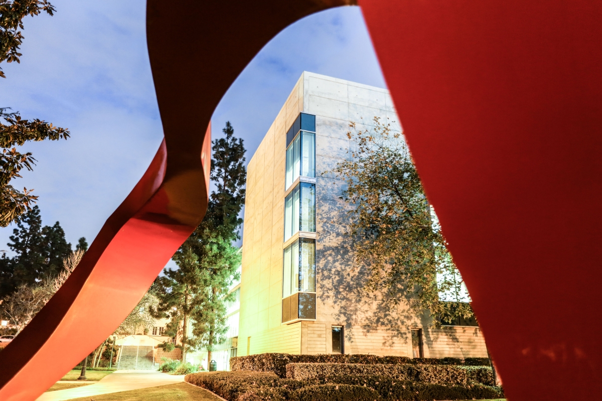 An evening photograph of Wardman Library