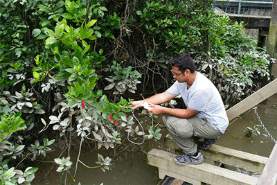 man kneels beside plant in observation