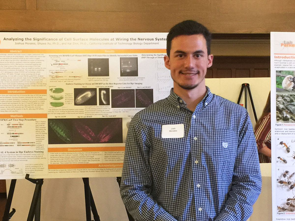 Joshua Morales stands in front of his neurobiology presentation.