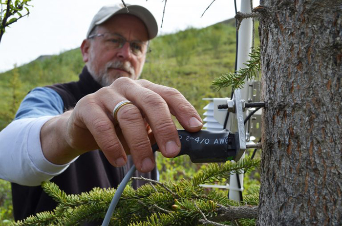 Kevin Griffin and a dendrometer.