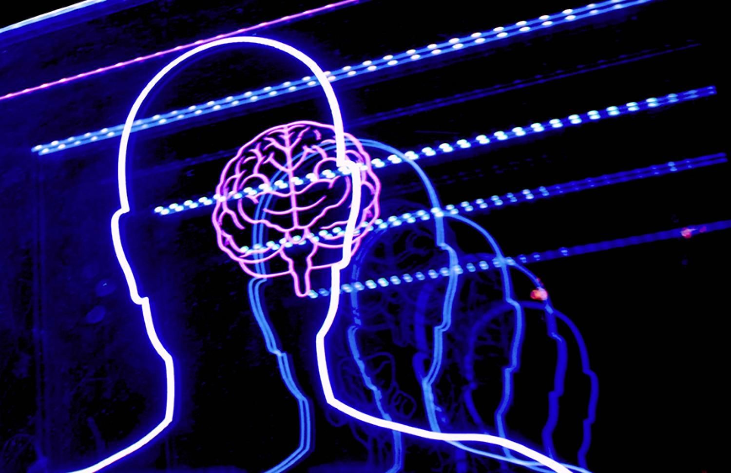 Brain