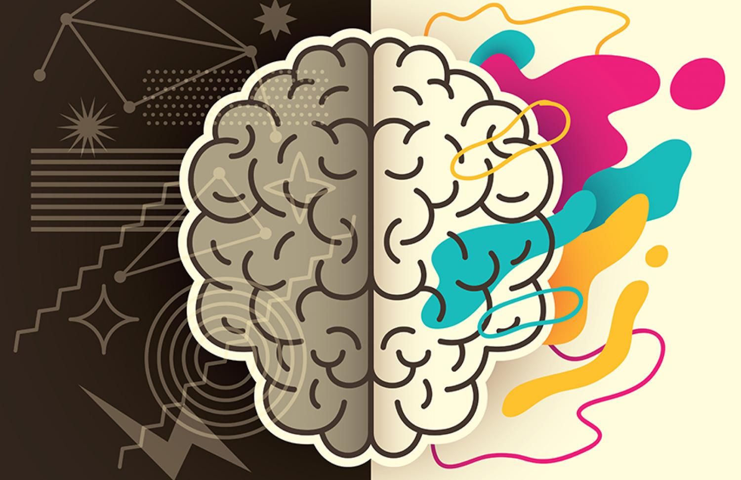 brain illustration