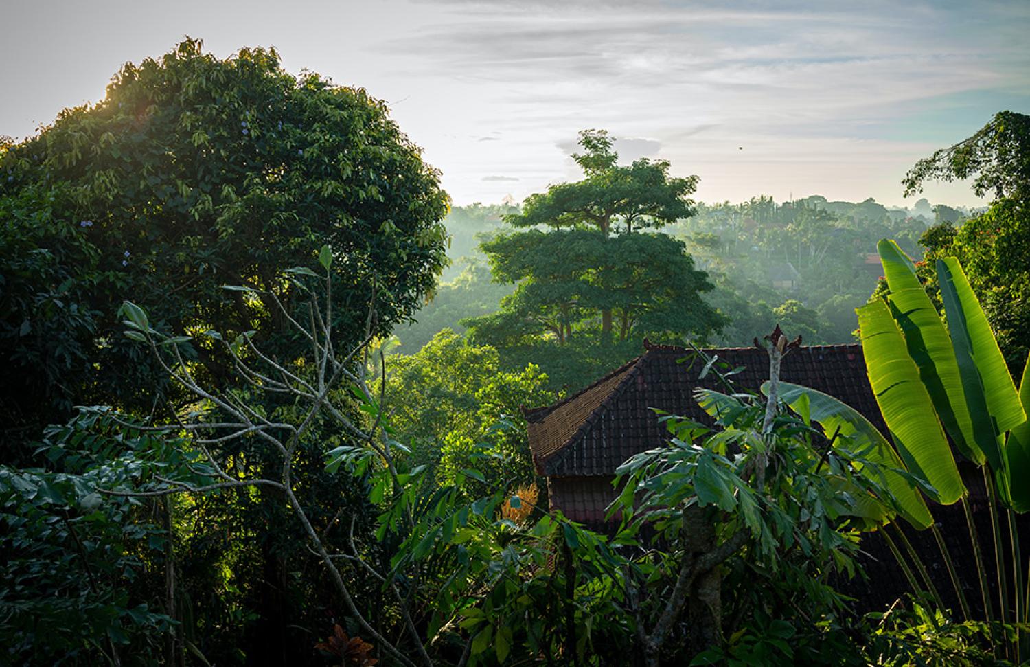 Indonesia