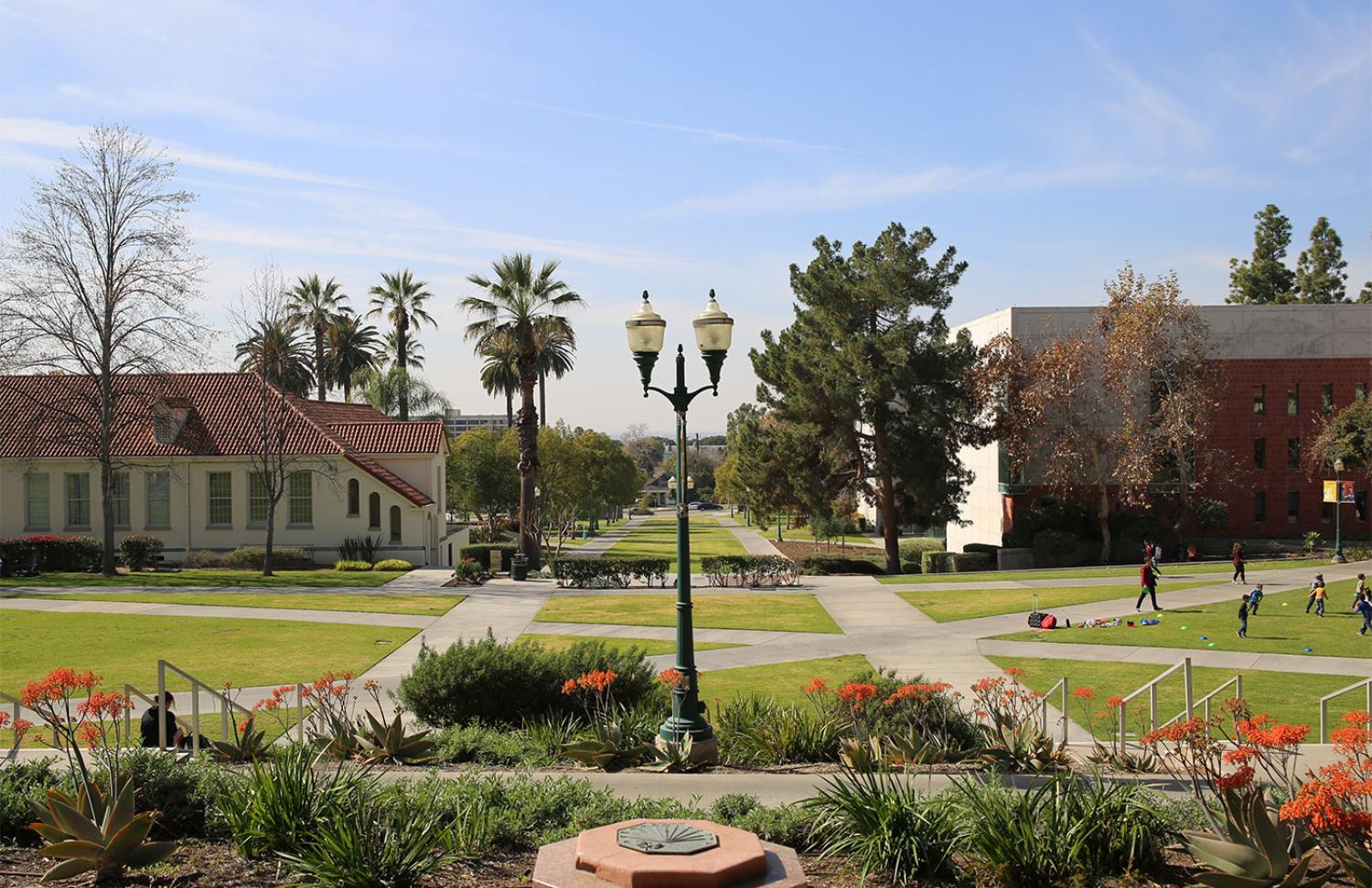 Upper Quad