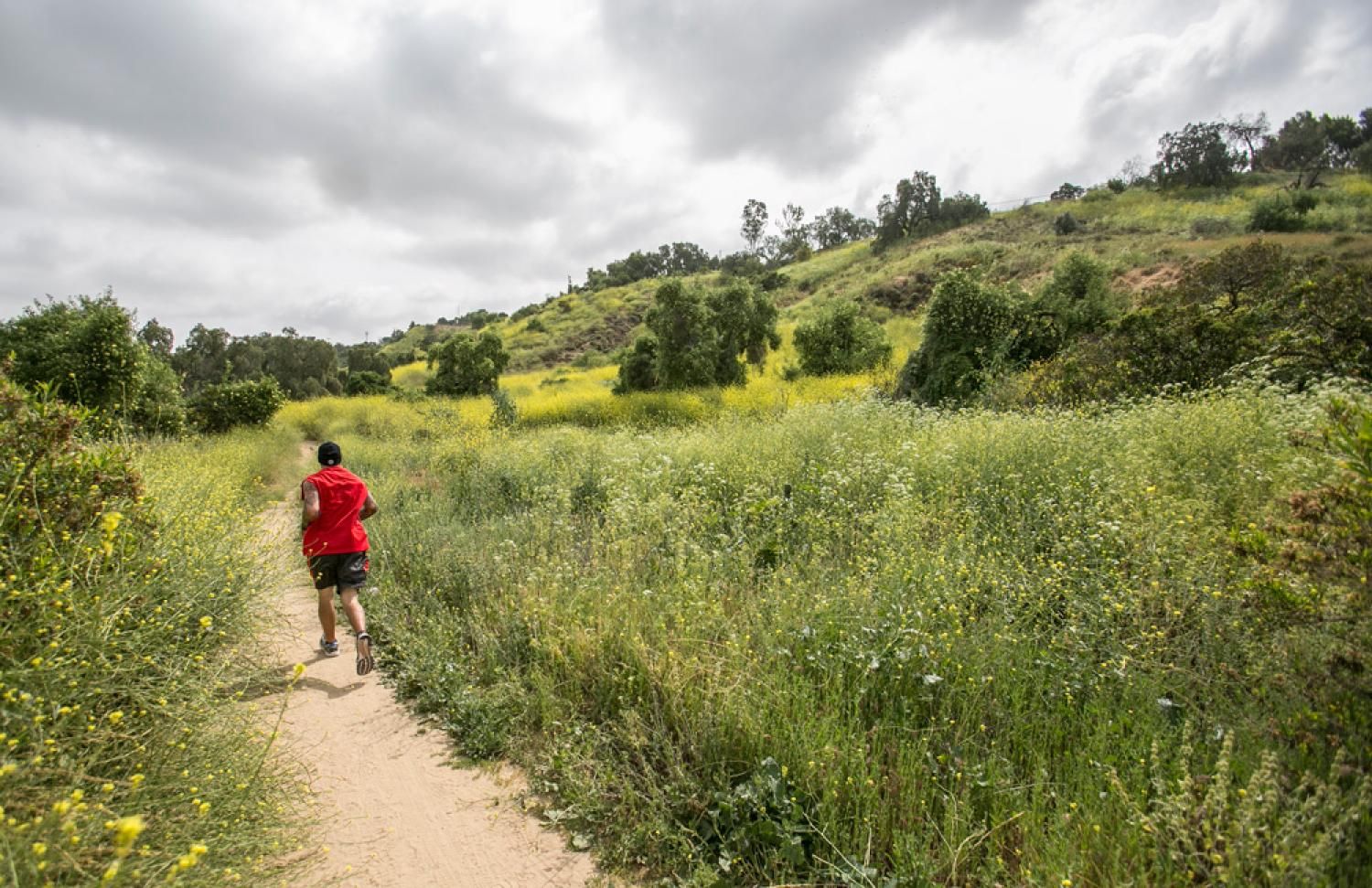 jogging on trail