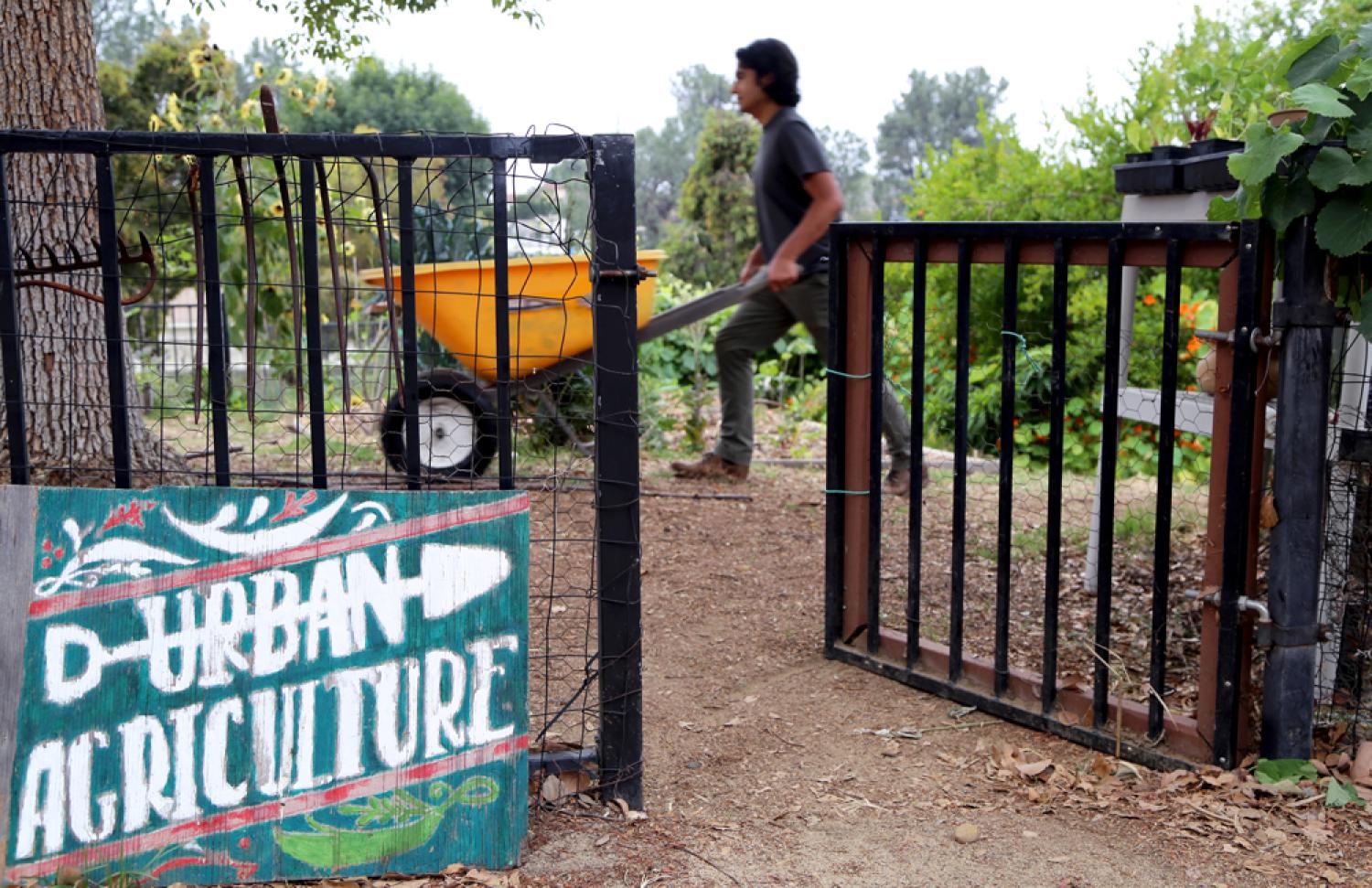 Entrance to community garden