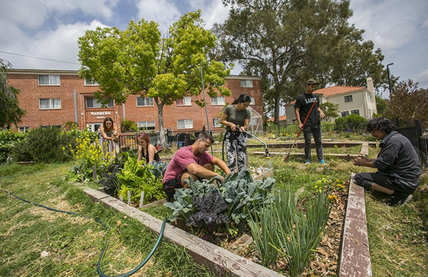 Students in a garden