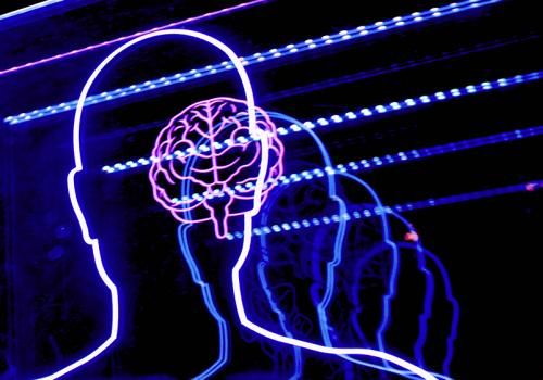Brain