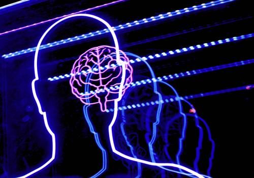 Brain