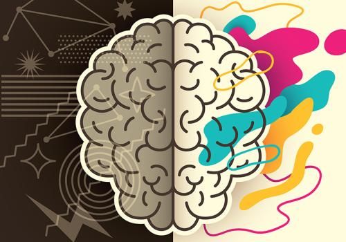 brain illustration
