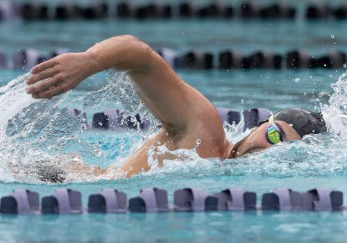 Swimmer