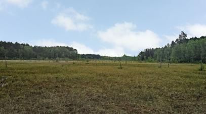 Bog lake