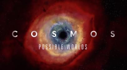 Cosmos Possible Worlds