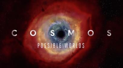 Cosmos Possible Worlds