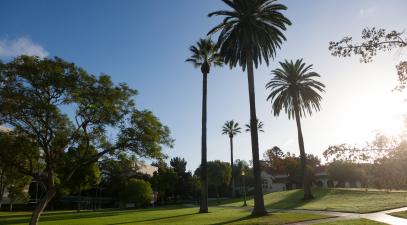 Deihl Hall and Lower Quad