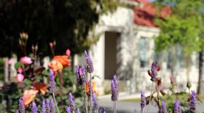 Flowers by Deihl