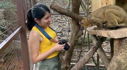 Brianne Estrada looks at a kinkajous in an animal habitat.