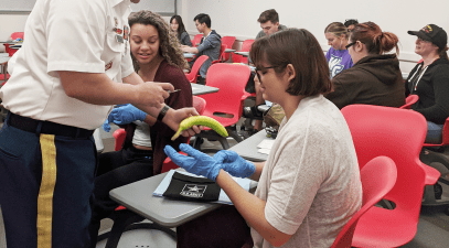 Sutures workshop