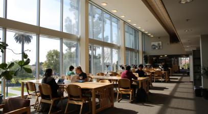 Students study at Wardman Library.
