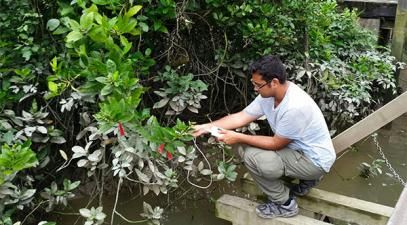 man kneels beside plant in observation