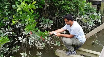 man kneels beside plant in observation