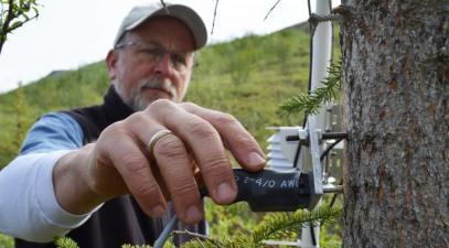 Kevin Griffin and a dendrometer.