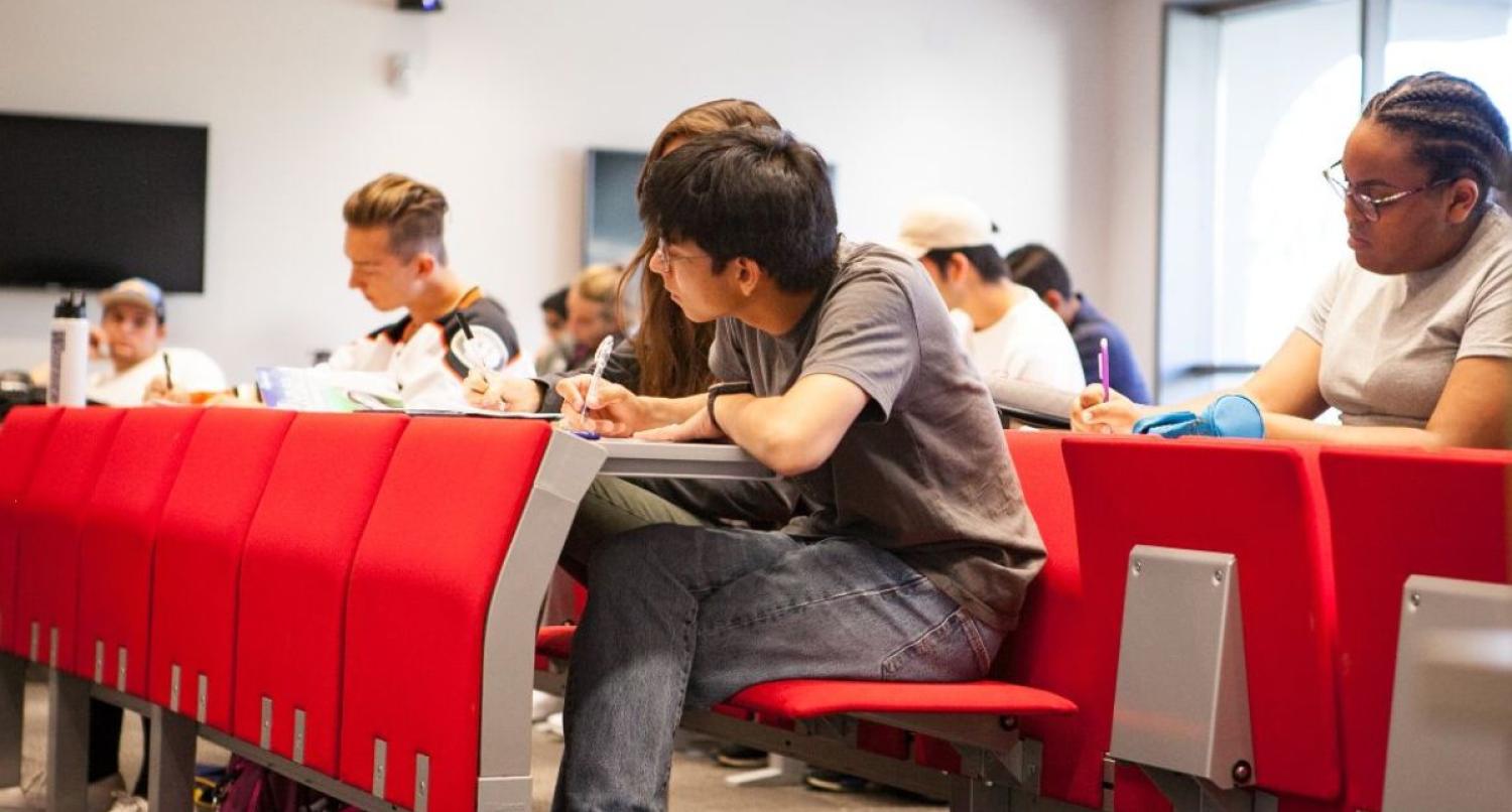 Students in class