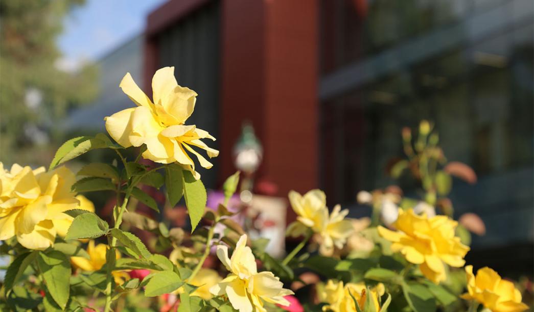 Flowers in front of Science & Learning Center