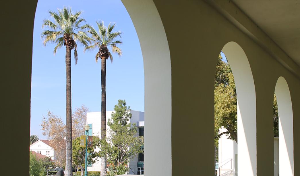 Arches and palm trees
