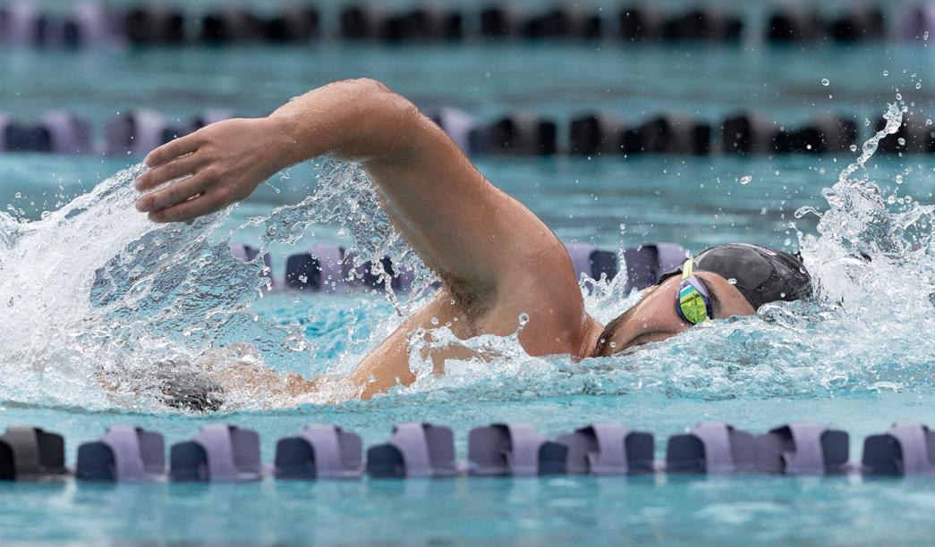 Swimmer